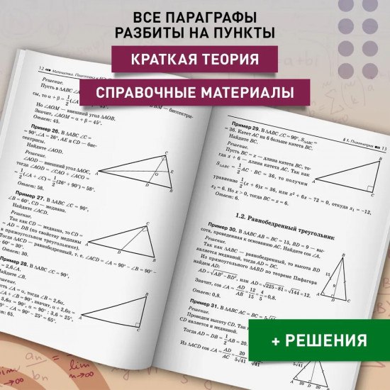 Математика. Подготовка к ЕГЭ. Планиметрия. Векторы. Стереометрия. 10-11 классы. Профильный уровень