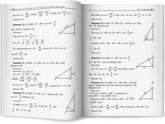 Математика. Подготовка к ЕГЭ. Планиметрия. Векторы. Стереометрия. 10-11 классы. Профильный уровень - Фото 9