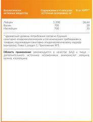 Комплекс аминокислот «BCAA Pro 2:1:1» - Фото 1