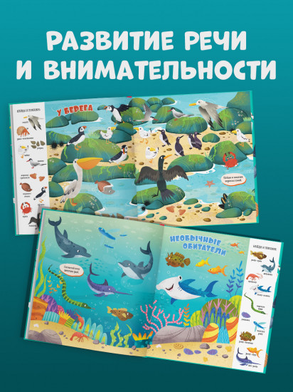 Океаны и моря