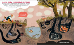 Мир вокруг. Энциклопедия в картинках - Фото 11