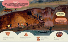 Мир вокруг. Энциклопедия в картинках - Фото 12