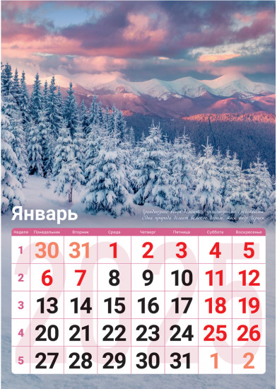 Календарь настенный перекидной на 2025 год «Природа»