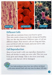 Oxford Read and Discover 6. Your Amazing Body - Фото 2