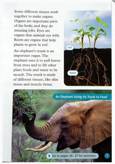 Oxford Read and Discover 6. Cells And Microbes