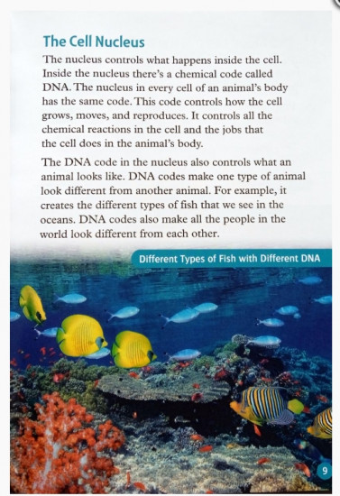 Oxford Read and Discover 6. Cells And Microbes