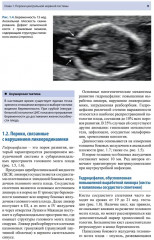 Ультразвуковая диагностика врожденных пороков развития плода - Фото 4