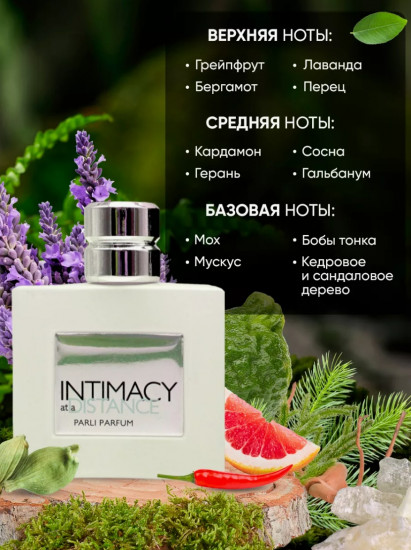 Туалетная вода мужская «Intimacy. At a Distance»