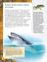 Большая энциклопедия школьника. Книга вопросов и ответов - Фото 5