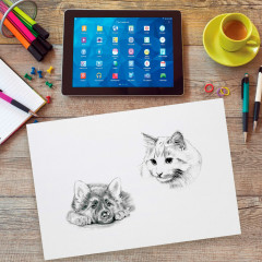 Набор бумаги для рисования и графики - Фото 8