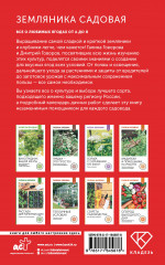 Земляника садовая. Все о любимых ягодах от А до Я - Фото 1