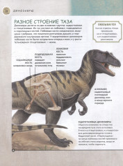 Динозавры. Полная энциклопедия - Фото 10