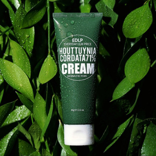 Крем для лица увлажняющий с экстрактом хауттюйнии «Houttuynia cordata 71% cream»