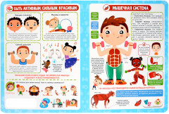 Анатомия - Фото 2