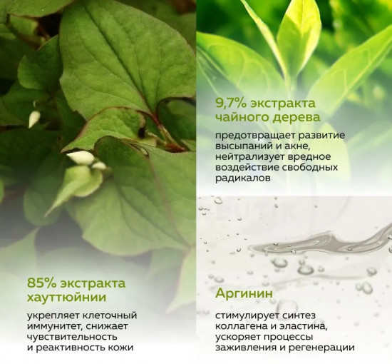 Успокаивающая сыворотка для лица «Houttuynia Cordata&Tea Tree serum»