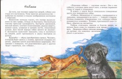 Жеті қазына (Священные "сокровища" у казахов) - Фото 1