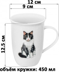 Кружка «Кот Степан» - Фото 3