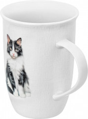 Кружка «Кот Степан» - Фото 1