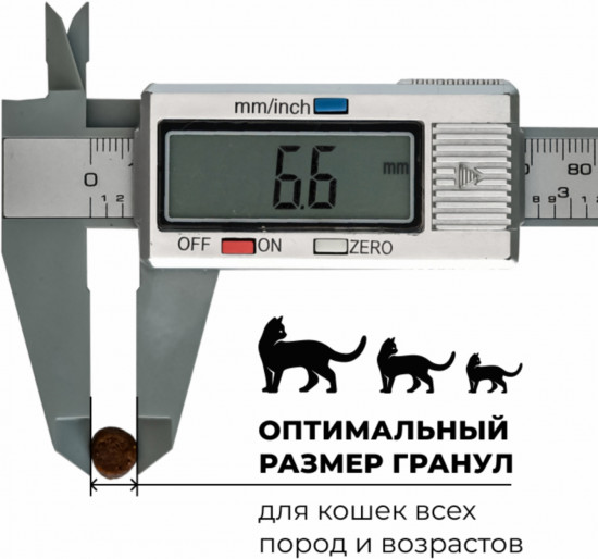 Корм для котят и кошек всех возрастов беззерновой с лососем, морской рыбой, фруктами и овощами «Salmon&Seafish»