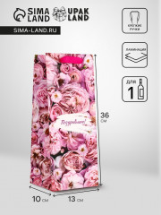 Пакет подарочный под бутылку «Поздравляю» - Фото 1