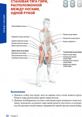 Анатомия силовых тренировок с гирями - Фото 10