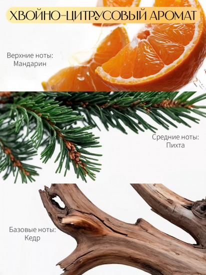 Диффузор-ароматизатор для дома Fir & Tangerine «Пихта-мандарин»