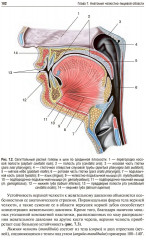 Пропедевтика хирургической стоматологии - Фото 8