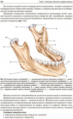 Пропедевтика хирургической стоматологии - Фото 10