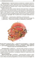 Пропедевтика хирургической стоматологии - Фото 15