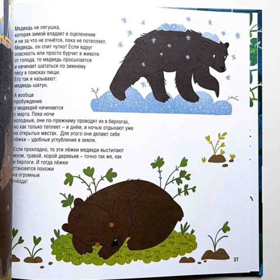 Как спят зверята