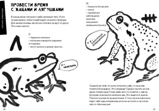 50 познавательных игр на природе
