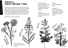 50 познавательных игр на природе - Фото 4