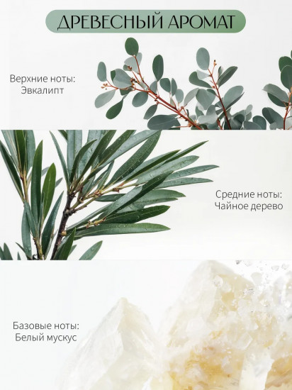 Диффузор-ароматизатор для дома Tea Tree «Чайное дерево»