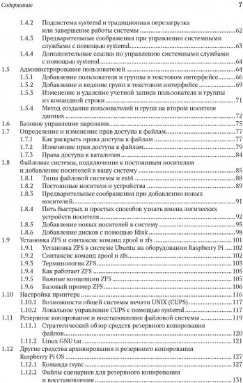 Raspberry Pi OS: Системное администрирование с systemd и Python