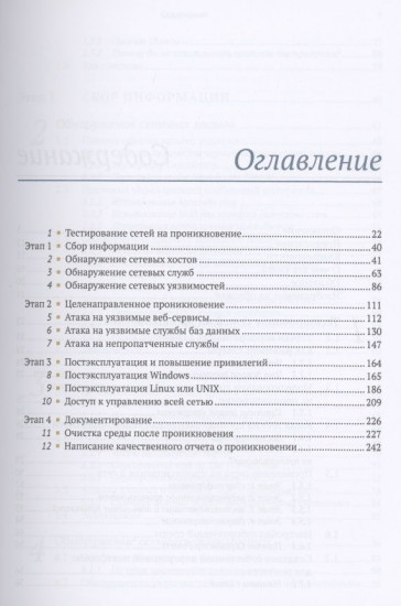 Искусство тестирования на проникновение в сеть