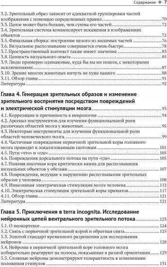 Биологическое и компьютерное зрение