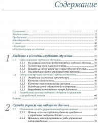 Конструирование систем глубокого обучения. Руководство для инженеров программного обеспечения - Фото 2
