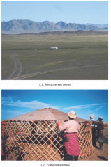 Кочевые империи Евразии. Особенности исторической динамики - Фото 9