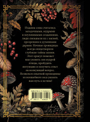 Ответы мудрой совы - Фото 1