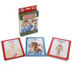 Карточки развивающие «Тело человека» - Фото 1