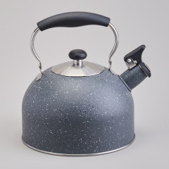Чайник со свистком - Фото 1