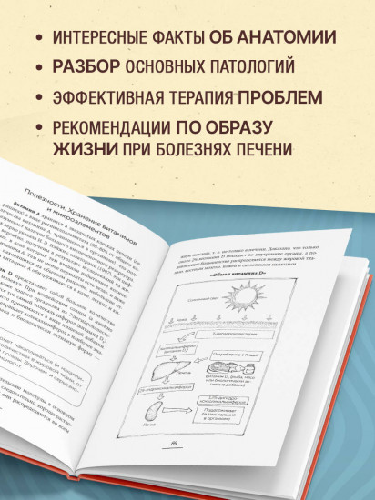 Печень без проблем. Гепатолог о том, что разрушает печень и как с этим справиться