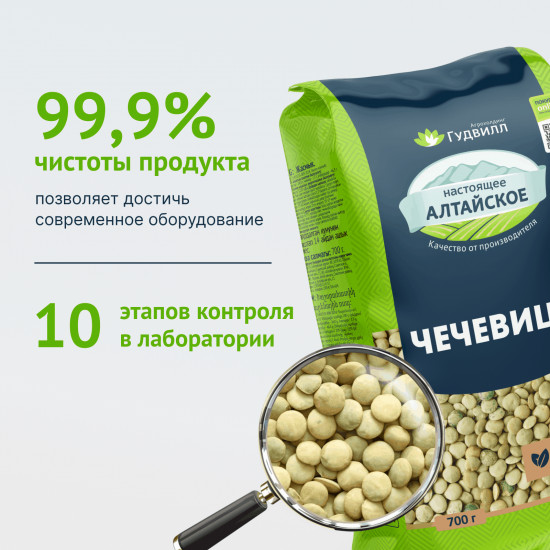 Чечевица