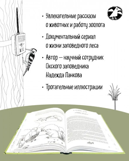 Про кабанов, бобров и выхухолей