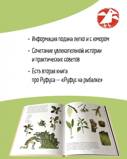 Руфус в лесу