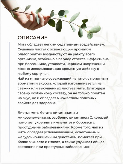 Напиток чайный «Мята Black Mitcham»