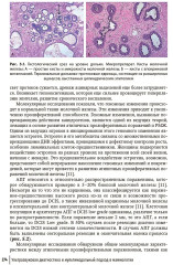 Ультразвуковая диагностика и мультимодальный подход в маммологии. Диффузные неузловые патологии - Фото 11