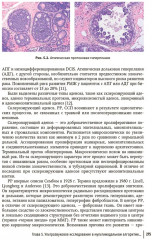 Ультразвуковая диагностика и мультимодальный подход в маммологии. Диффузные неузловые патологии - Фото 12
