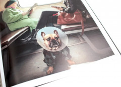 Россия в квадрате. Комплект из 2 одинаковых книг - Фото 7