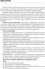 Общая гистология. Эпителиальные ткани, кровь, собственно соединительные, скелетные и мышечные ткани. Рабочая тетрадь - Фото 2